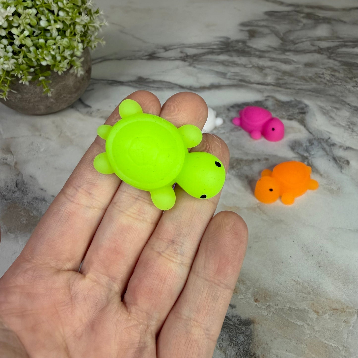 Squishy Toy - Mini Turtle-on hand