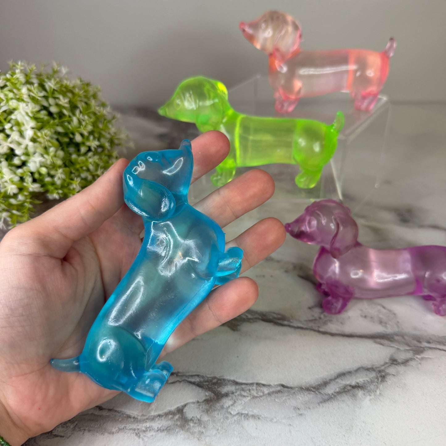 Squishy Toy - Weiner Dog-on hand