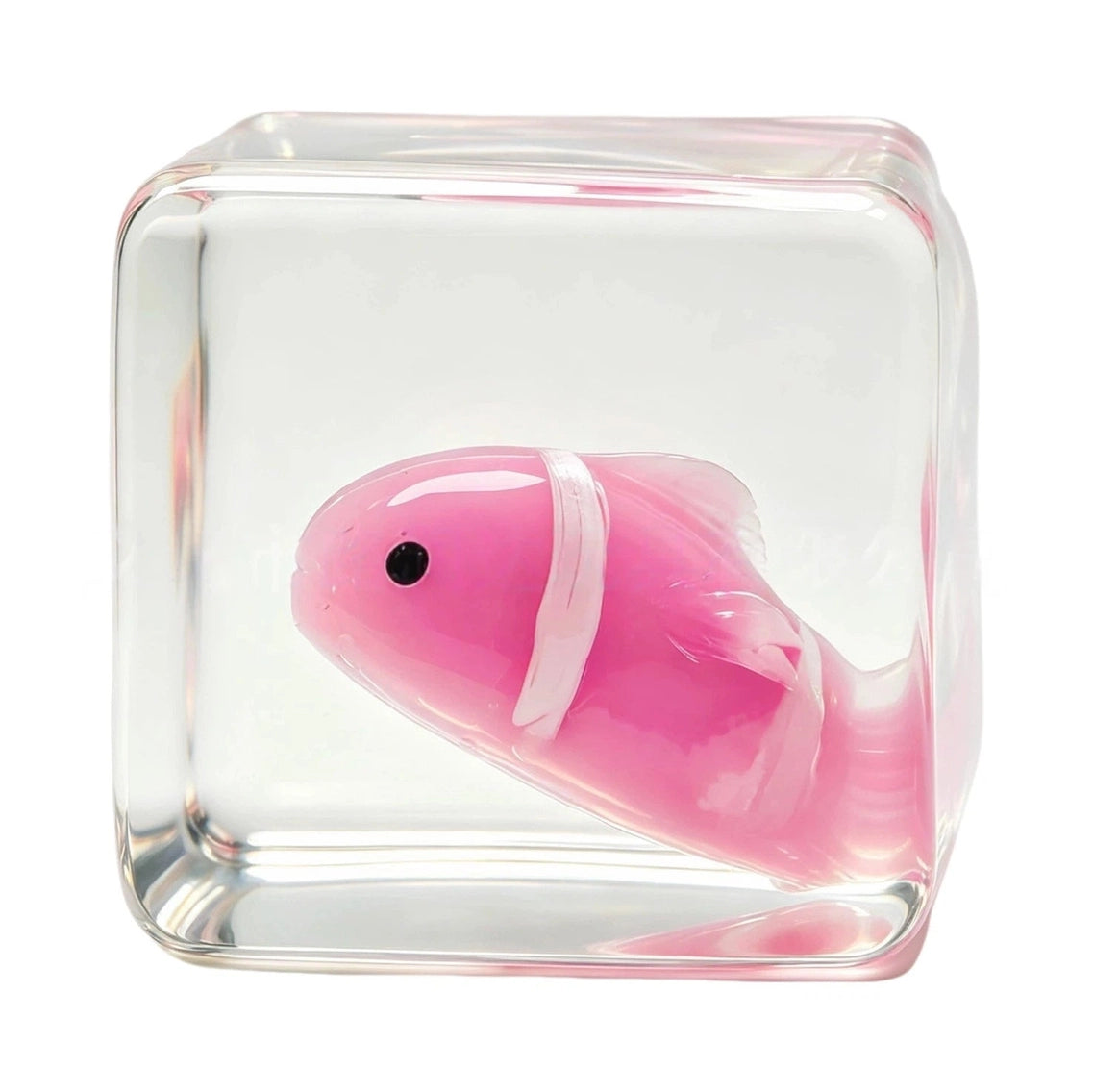 Squishy Toys - Glow-in-the-Dark Clown Fish Cube-on hand